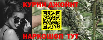 крисы Ирбит
