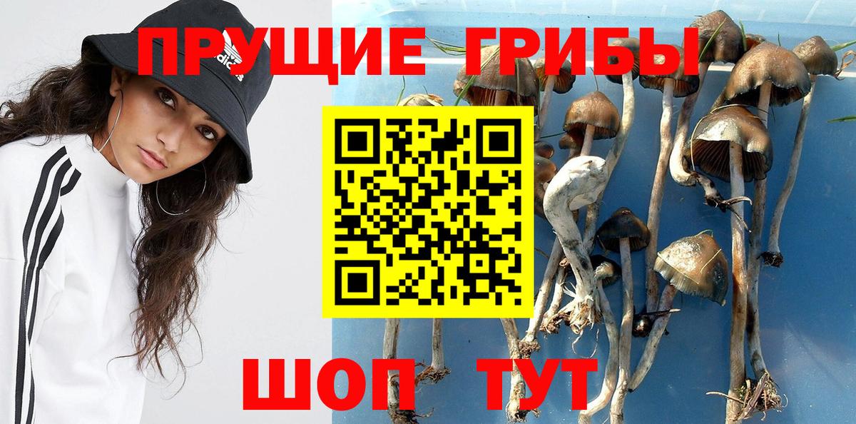 Галлюциногенные грибы MAGIC MUSHROOMS  Вход с VPN  Петропавловск-Камчатский 