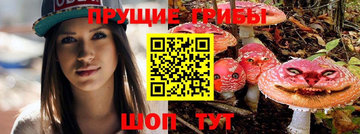 Псилоцибиновые грибы Psilocybine cubensis Петропавловск-Камчатский