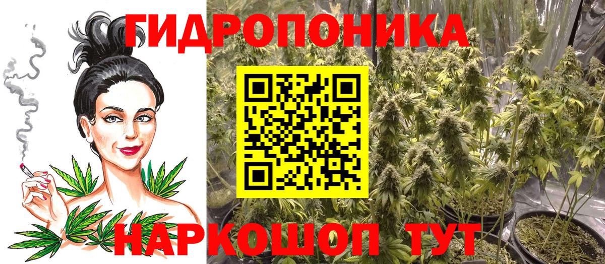 Бошки Шишки OG Kush Петропавловск-Камчатский
